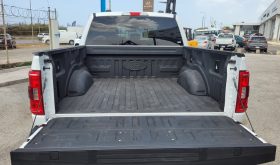 Ford F150 2022 Wit