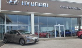 Hyundai Ioniq 2020 Bruin
