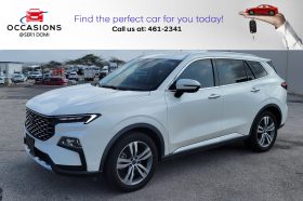 Ford Territory 2025 Wit